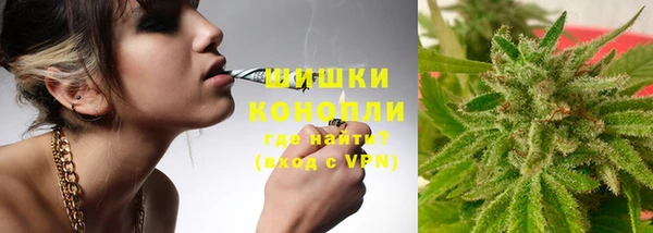 мдпв Лиски