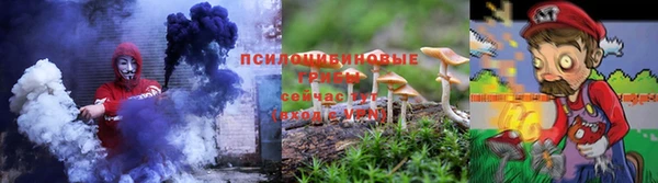 мдпв Лиски
