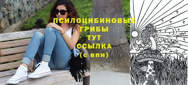 мдпв Лиски