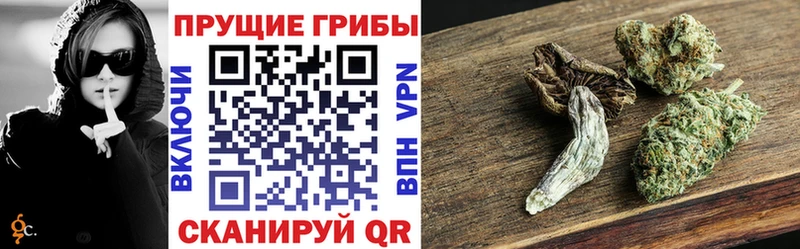 гидра ссылка Ефремов Псилоцибиновые грибы Magic Shrooms купить