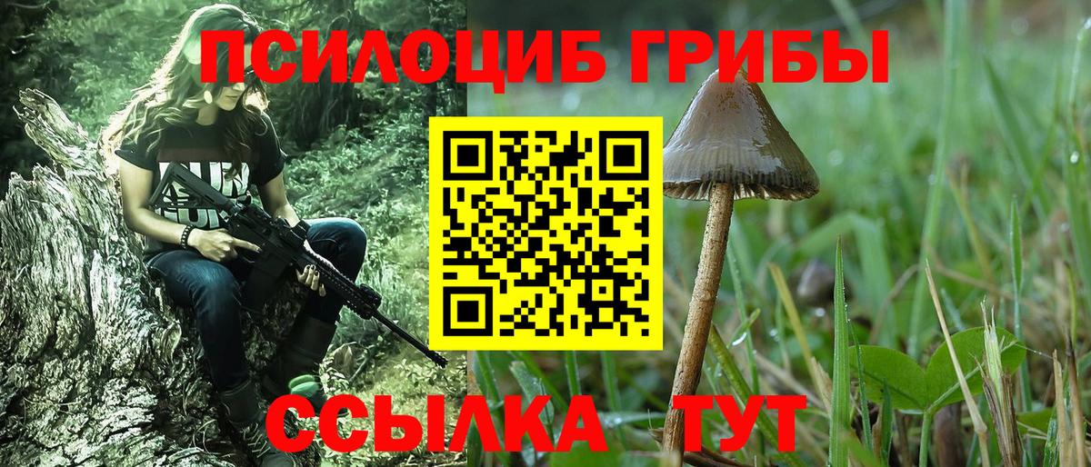 Псилоцибиновые грибы MAGIC MUSHROOMS Ефремов