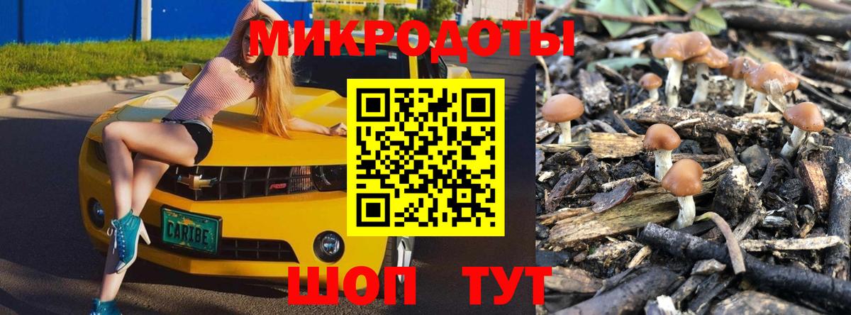 Галлюциногенные грибы мухоморы Ефремов