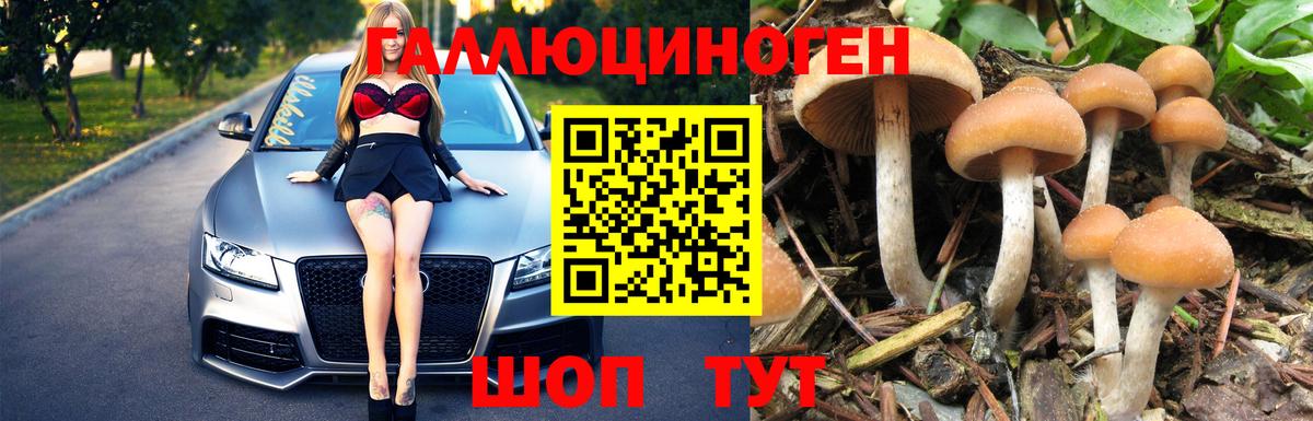 Псилоцибиновые грибы прущие грибы  где купить наркоту  Ефремов 