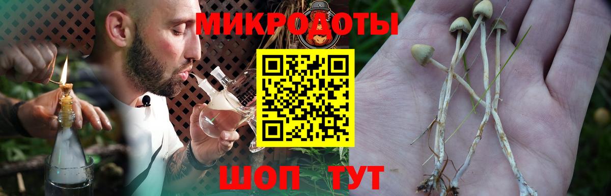 Галлюциногенные грибы GOLDEN TEACHER  Галлюциногенные грибы Psilocybine cubensis  Ефремов  Вход с VPN 